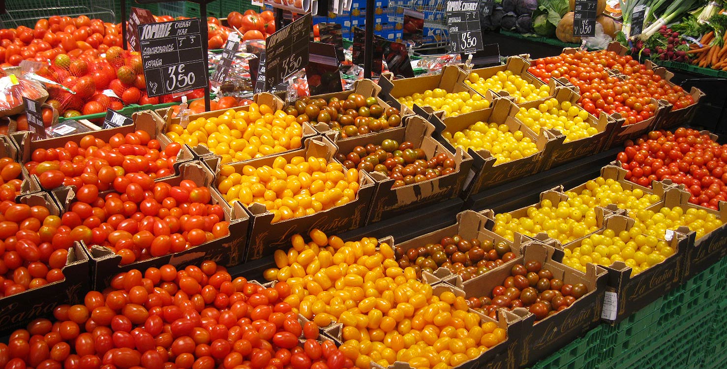tomatoes-spain