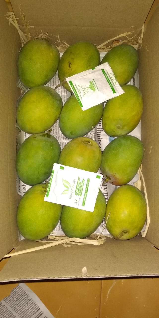 kif sachet mangoes (2)